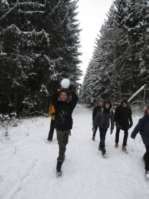 Klikněte pro zobrazení původního (velkého) obrázku