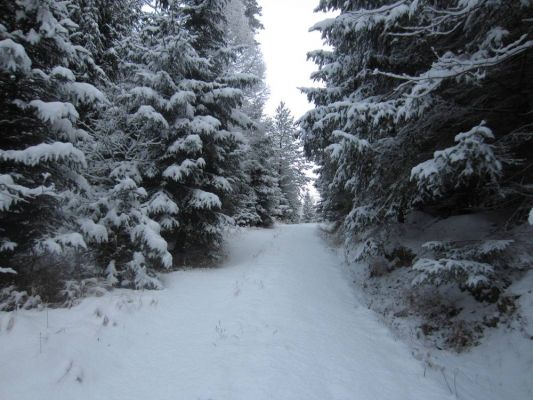 Klikněte pro zobrazení původního (velkého) obrázku