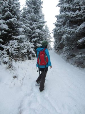 Klikněte pro zobrazení původního (velkého) obrázku