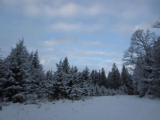 Klikněte pro zobrazení původního (velkého) obrázku