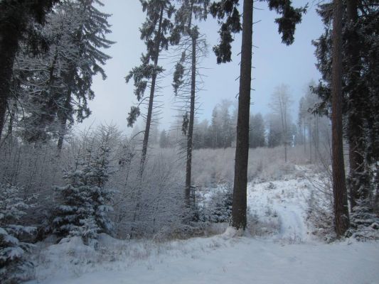 Klikněte pro zobrazení původního (velkého) obrázku