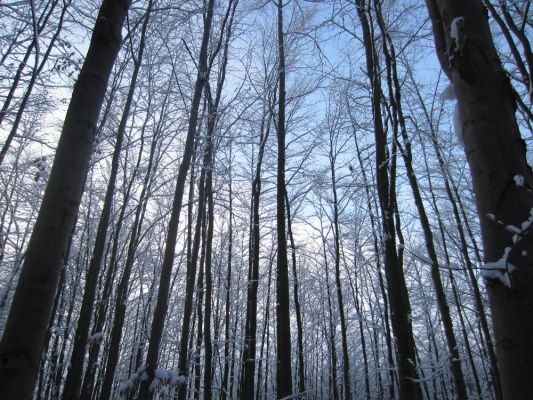 Klikněte pro zobrazení původního (velkého) obrázku