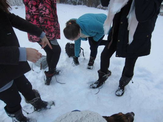 Klikněte pro zobrazení původního (velkého) obrázku