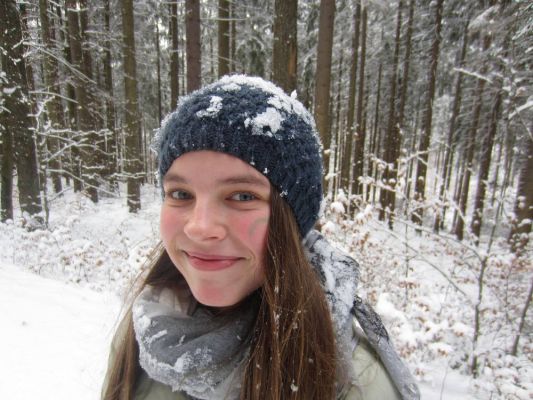 Klikněte pro zobrazení původního (velkého) obrázku