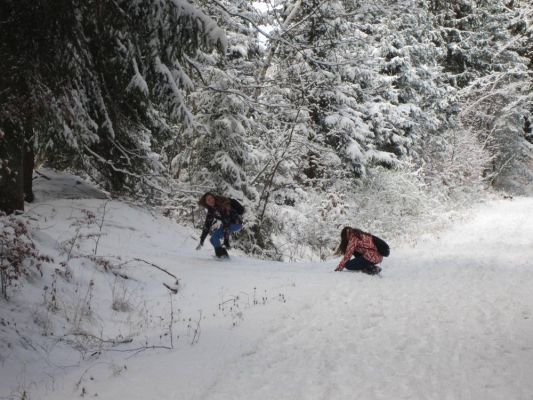 Klikněte pro zobrazení původního (velkého) obrázku