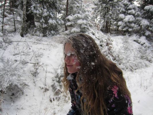 Klikněte pro zobrazení původního (velkého) obrázku