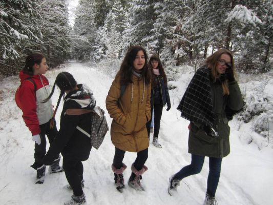 Klikněte pro zobrazení původního (velkého) obrázku