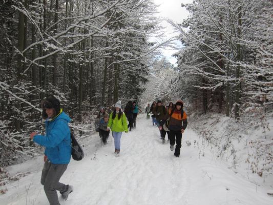 Klikněte pro zobrazení původního (velkého) obrázku
