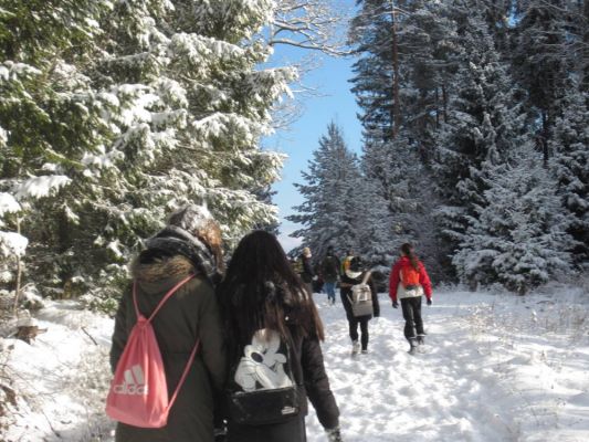 Klikněte pro zobrazení původního (velkého) obrázku