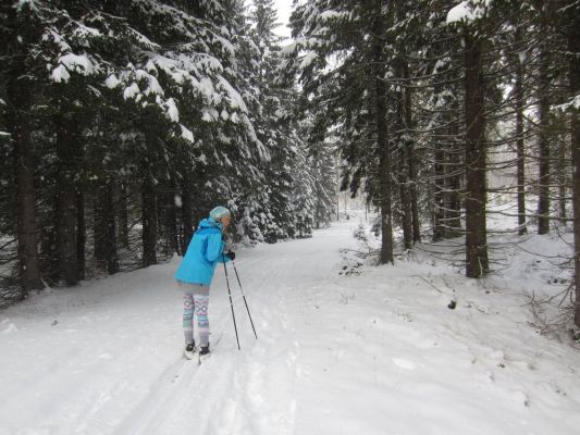 Klikněte pro zobrazení původního (velkého) obrázku