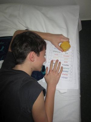 Klikněte pro zobrazení původního (velkého) obrázku