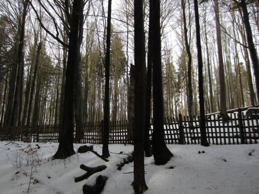 Klikněte pro zobrazení původního (velkého) obrázku