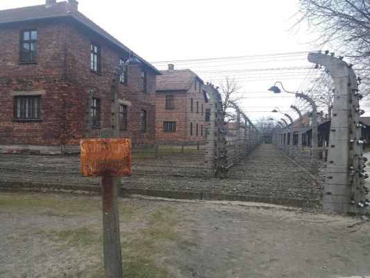 Klikněte pro zobrazení původního (velkého) obrázku