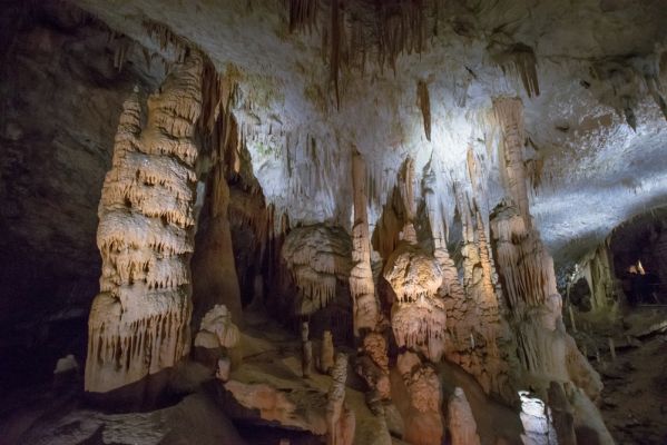 Klikněte pro zobrazení původního (velkého) obrázku