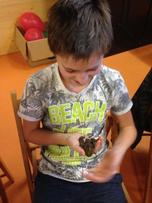 Klikněte pro zobrazení původního (velkého) obrázku