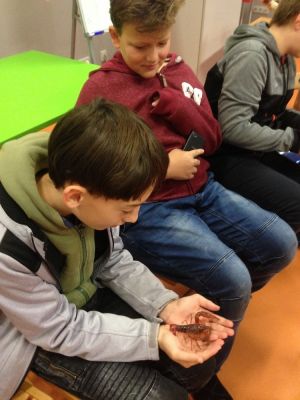 Klikněte pro zobrazení původního (velkého) obrázku