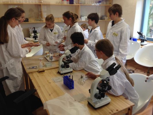 Klikněte pro zobrazení původního (velkého) obrázku