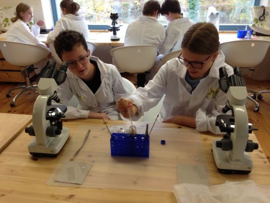 Klikněte pro zobrazení původního (velkého) obrázku