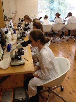 Klikněte pro zobrazení původního (velkého) obrázku