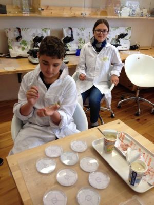 Klikněte pro zobrazení původního (velkého) obrázku