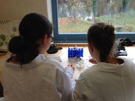 Klikněte pro zobrazení původního (velkého) obrázku