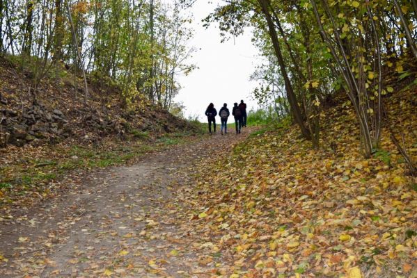Klikněte pro zobrazení původního (velkého) obrázku