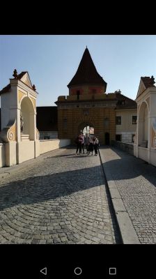 Klikněte pro zobrazení původního (velkého) obrázku