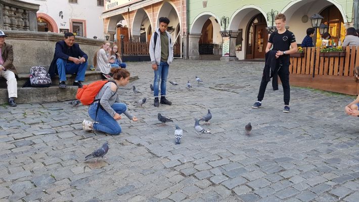 Klikněte pro zobrazení původního (velkého) obrázku