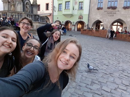 Klikněte pro zobrazení původního (velkého) obrázku