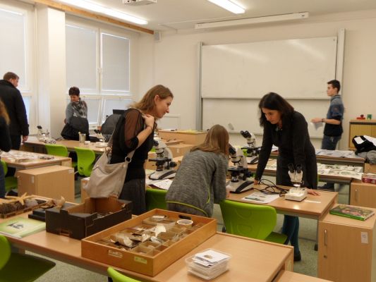 Klikněte pro zobrazení původního (velkého) obrázku