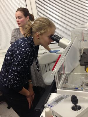 Klikněte pro zobrazení původního (velkého) obrázku