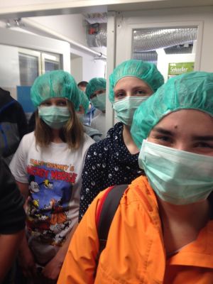 Klikněte pro zobrazení původního (velkého) obrázku