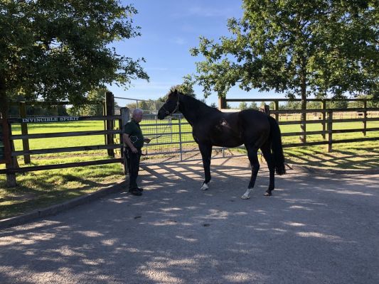 Klikněte pro zobrazení původního (velkého) obrázku