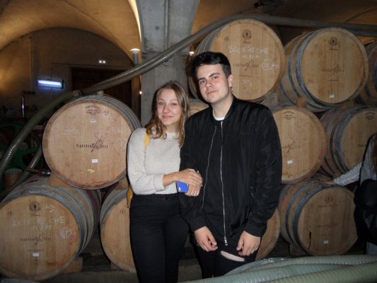 Klikněte pro zobrazení původního (velkého) obrázku