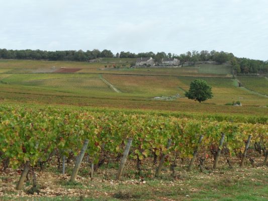 Klikněte pro zobrazení původního (velkého) obrázku