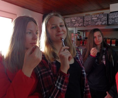 Klikněte pro zobrazení původního (velkého) obrázku