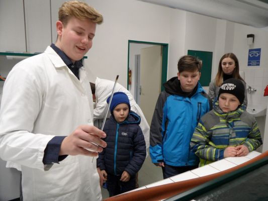 Klikněte pro zobrazení původního (velkého) obrázku