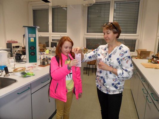 Klikněte pro zobrazení původního (velkého) obrázku