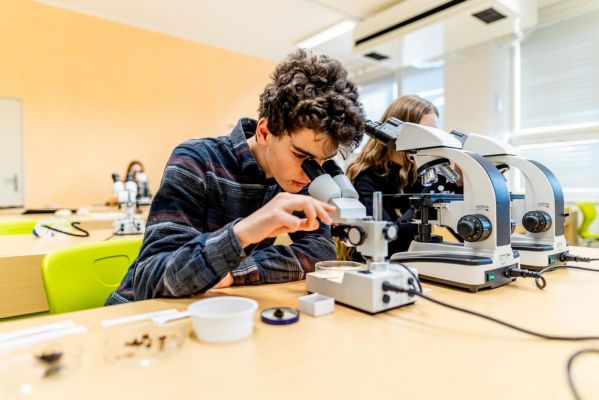 Klikněte pro zobrazení původního (velkého) obrázku