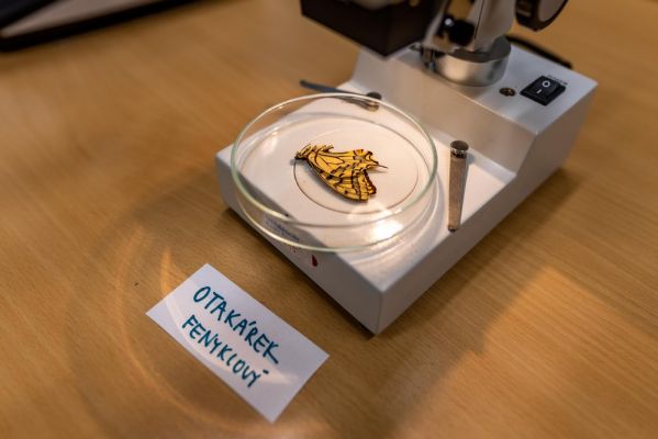 Klikněte pro zobrazení původního (velkého) obrázku