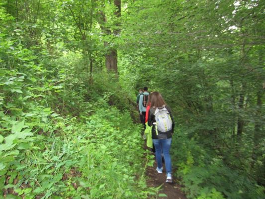 Klikněte pro zobrazení původního (velkého) obrázku