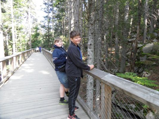 Klikněte pro zobrazení původního (velkého) obrázku