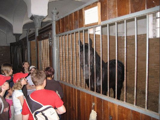 Klikněte pro zobrazení původního (velkého) obrázku