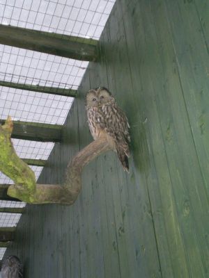 Klikněte pro zobrazení původního (velkého) obrázku