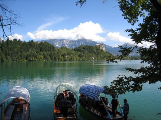 Klikněte pro zobrazení původního (velkého) obrázku