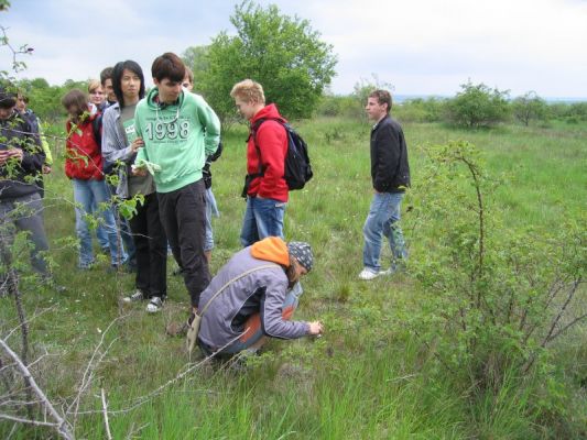 Klikněte pro zobrazení původního (velkého) obrázku
