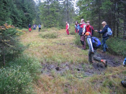 Klikněte pro zobrazení původního (velkého) obrázku