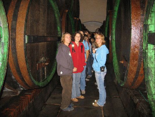 Klikněte pro zobrazení původního (velkého) obrázku