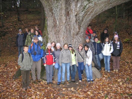 Klikněte pro zobrazení původního (velkého) obrázku