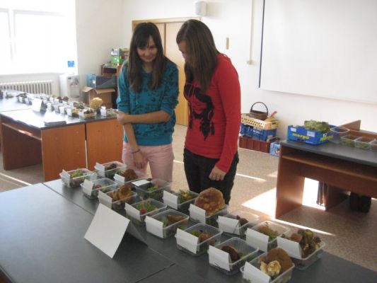 Klikněte pro zobrazení původního (velkého) obrázku